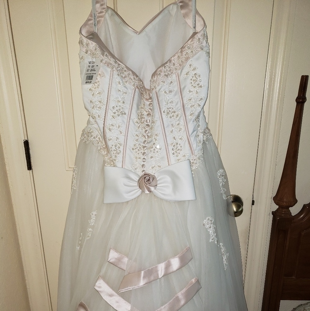 Michaelangelo wedding dress